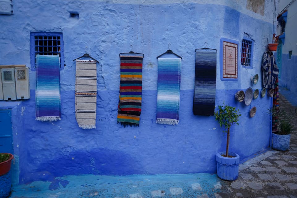 Five striped rugs on hangers along a blue-washed wall, with painted plates beside them and a small tree in a blue pot.