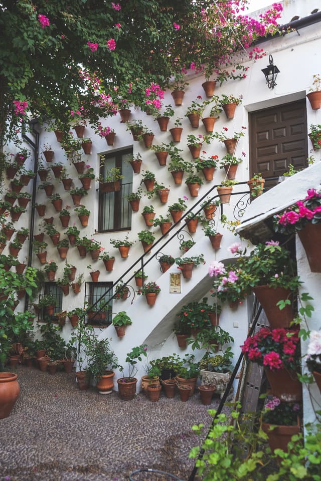 A whitewashed courtyard wall hung with dozens of terracotta pots of geraniums, an iron-railed stair crossing it, under pink bougainvillea.