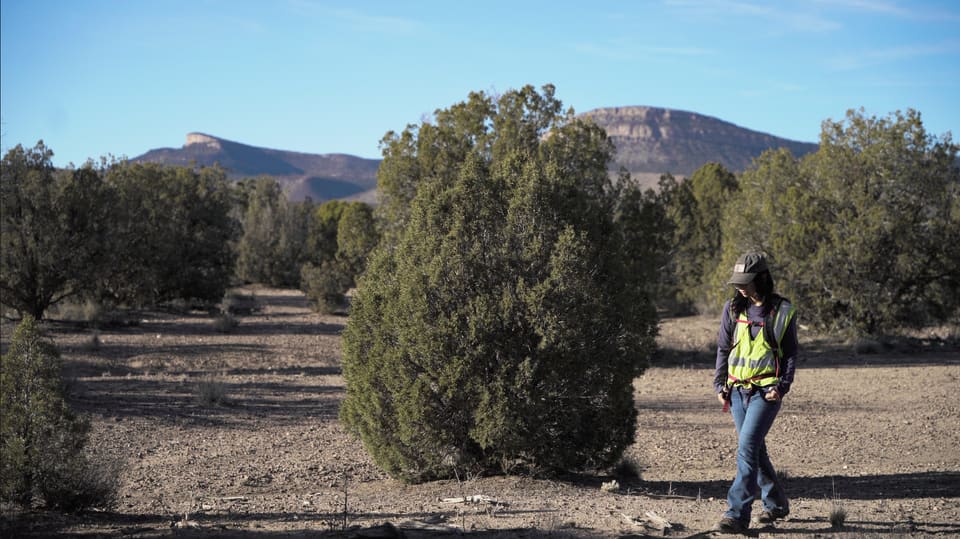Still from the film: A surveyor walks toward the camera past a juniper, with a mesa on the horizon.