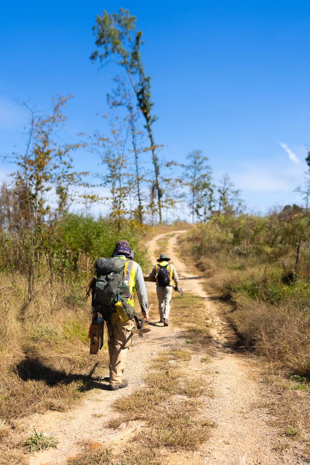 Two field archaeologists in hi-vis vests walk away up a dirt track with packs and a shovel, under a bright blue sky.