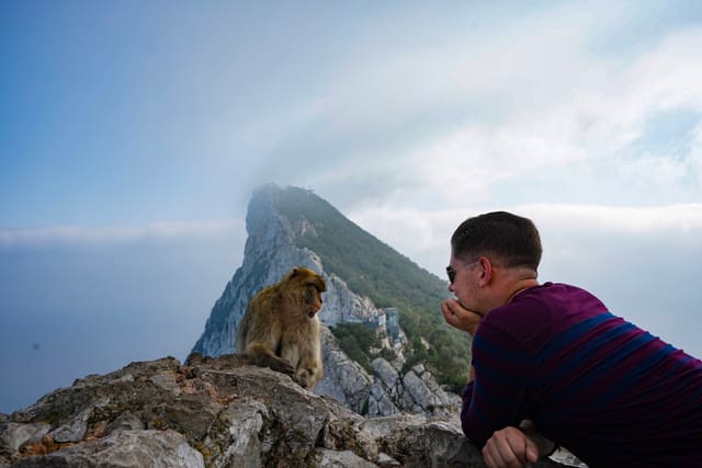 Alex leans on a rock wall with his chin on his hand, face to face with a Barbary macaque sitting an arm’s length away, with the top of the Rock in cloud behind them.